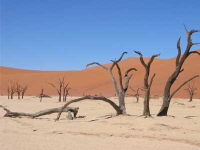 VIAJE NAMBIA Y LAS ARENAS DEL NAMIB  DESDE COLIMA